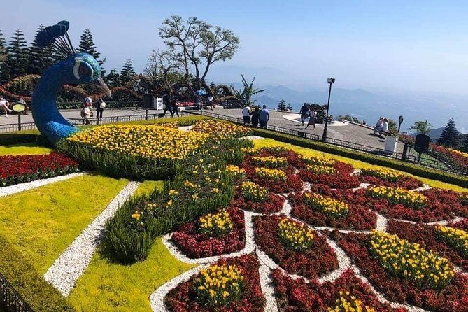 Private Shore Excursion to MY SON HOLYLAND-UNESSCO Heritage Site& GOLDEN BRIDGE - Practical Details & Travel Experience