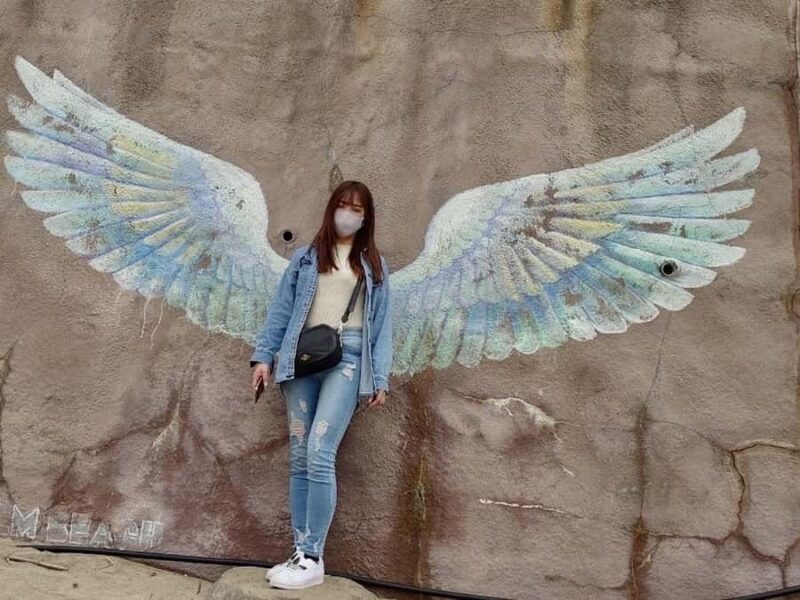 Private Shore Excursion:Fukuoka Itoshima Grammable spot - Key Points