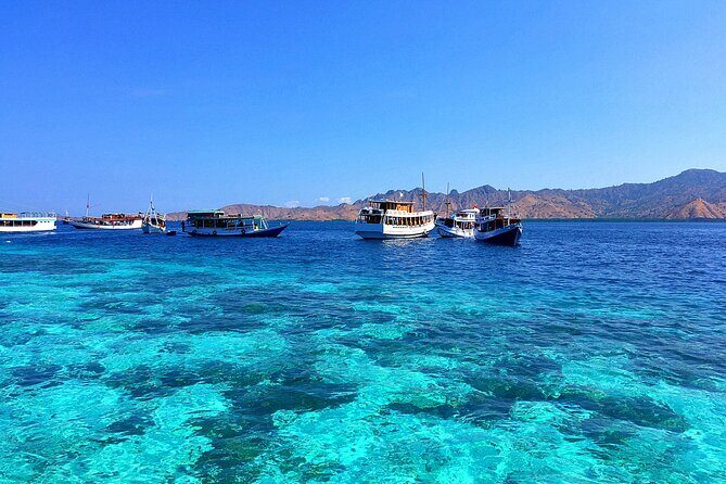 Private Shore Tour Komodo Dragons & Island Adventure - FAQ