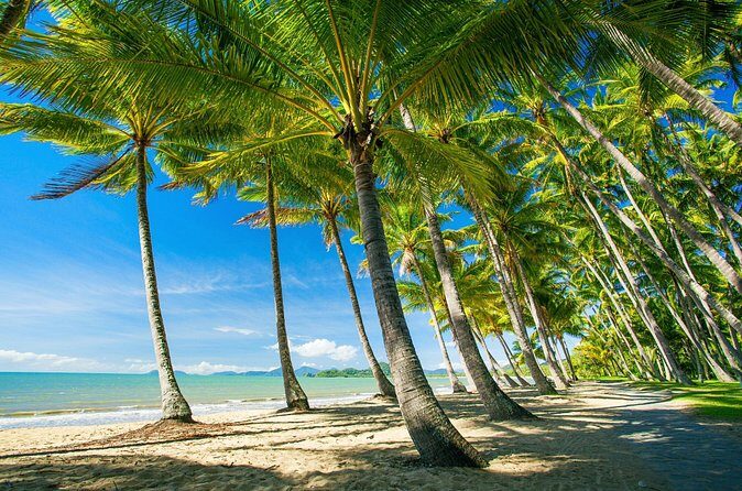 Private Shore Tour: Kuranda Village & Palm Cove from Port Douglas - FAQs