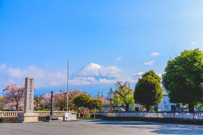 Private Shore Tour: Mt. Fuji Highlights from Shimizu Port - Final Thoughts