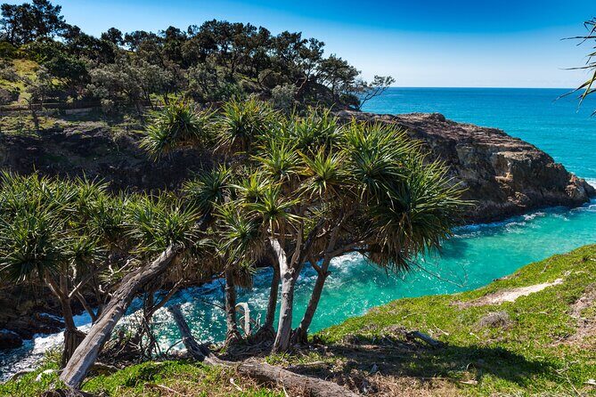Private Shore Tour: North Stradbroke Island from Brisbane - Who Is This Tour Best For?