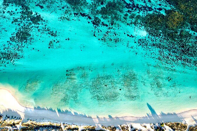 Private Shore Tour: Scenic Flight Over Ningaloo Reef & Transfer - Final Thoughts