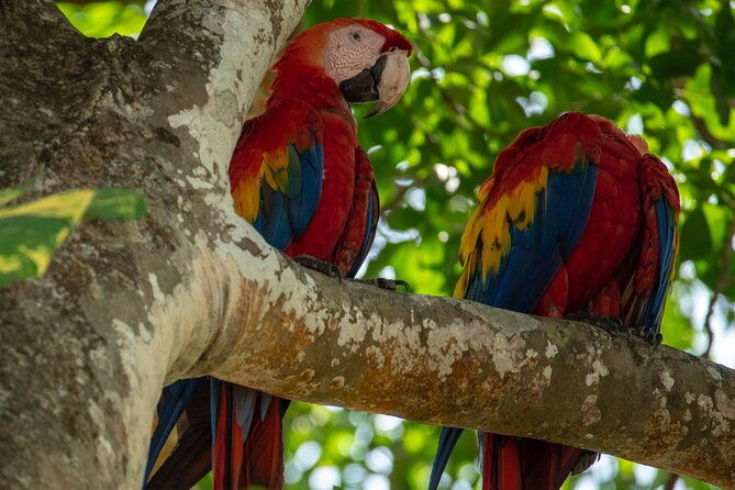 private-shuttle-arenal-la-fortuna-costa-rica