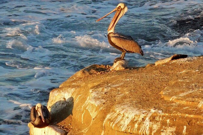private-shuttled-coastal-gems-scenic-customizable-tour