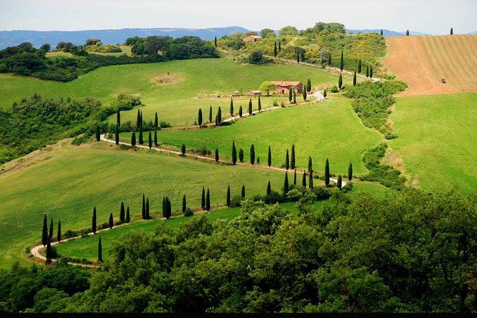 private-siena-and-san-gimignano-tour-with-wine-tasting-from-rome