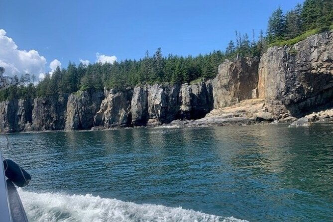 private-sightseeing-charter-in-frenchman-bay