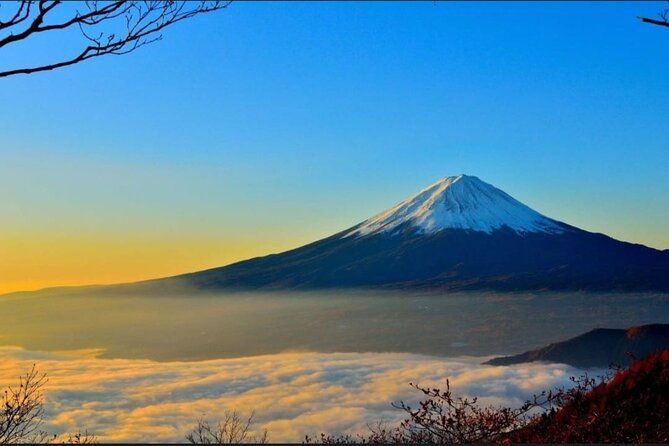 private-sightseeing-full-day-to-mt-fuji-and-hakone