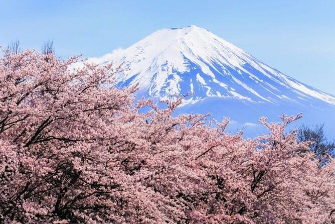 private-sightseeing-full-day-to-mt-fuji-and-hakone