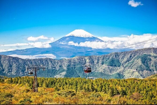 private-sightseeing-full-day-to-mt-fuji-and-hakone