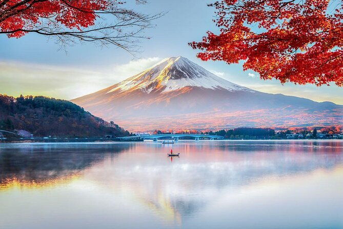 private-sightseeing-to-mt-fuji-and-hakone-green-number-plates