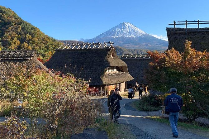 private-sightseeing-to-mt-fuji-and-hakone-green-number-plates