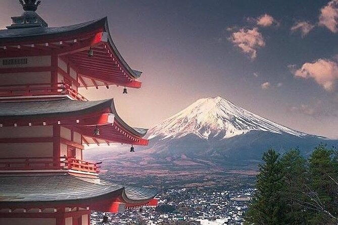 private-sightseeing-to-mt-fuji-and-hakone-green-number-plates
