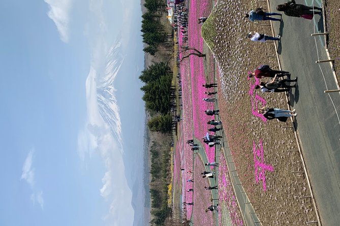 private-sightseeing-to-mt-fuji-and-hakone-green-number-plates