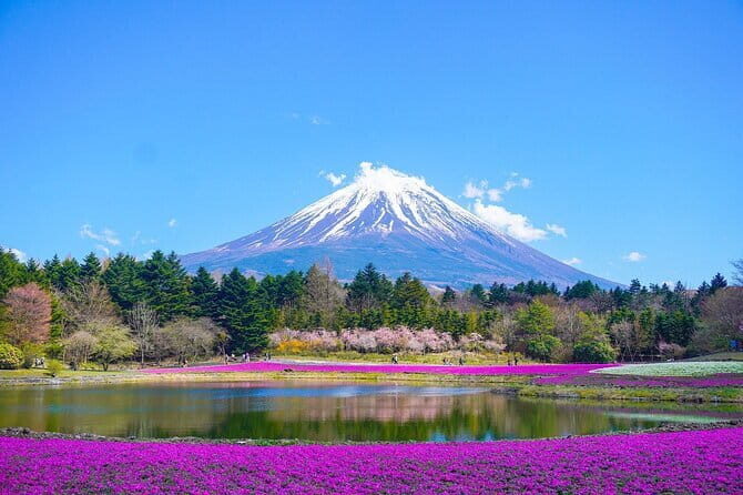 Private Sightseeing to Mt Fuji and Hakone with English Driver - Why This Tour Works Well