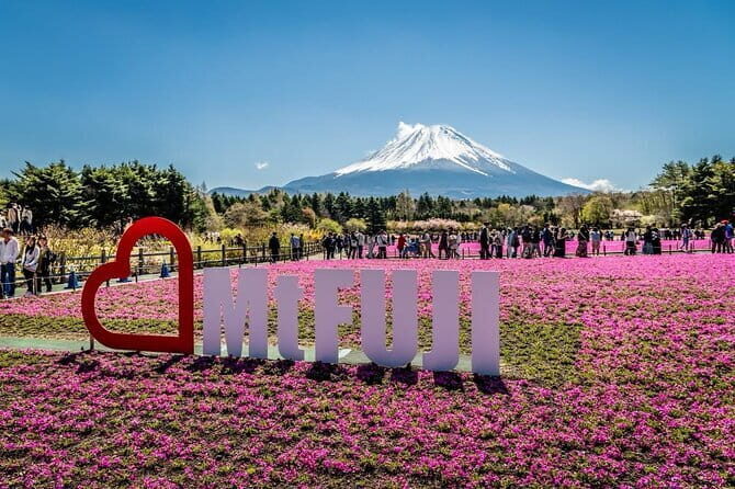 Private Sightseeing to Mt Fuji and Hakone with English Driver - The Sum Up