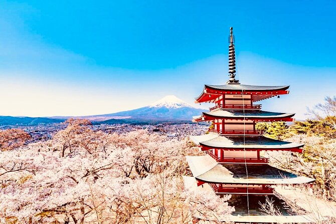 private-sightseeing-to-mt-fuji-and-hakone-with-english-driver