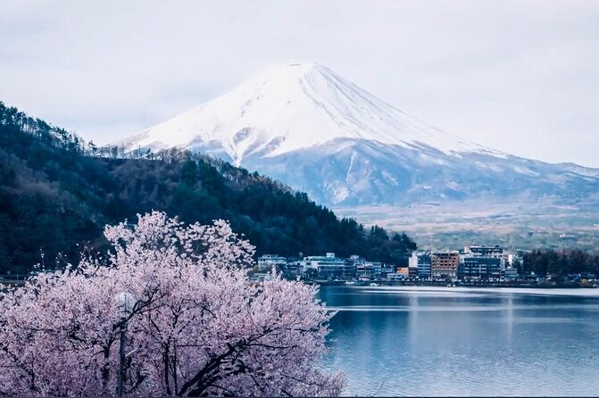 private-sightseeing-to-mt-fuji-and-hakone-with-english-driver