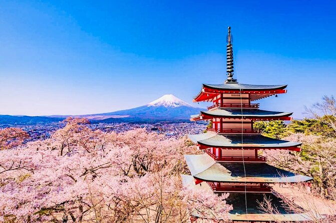 private-sightseeing-to-mt-fuji-and-hakone-with-english-driver