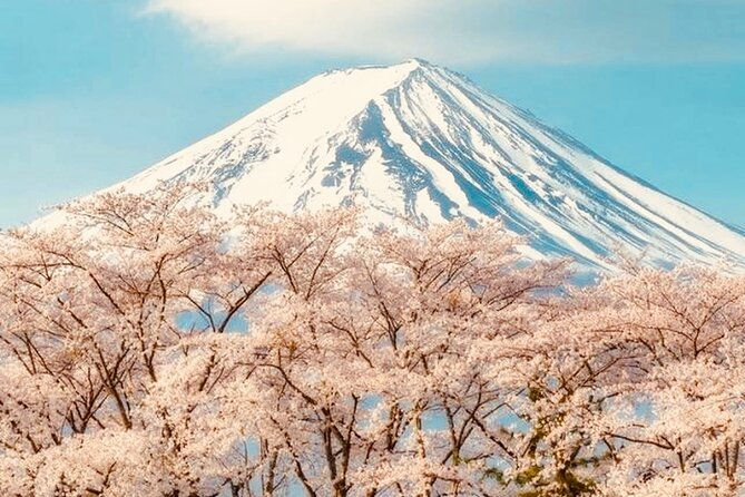 private-sightseeing-to-mt-fuji-and-hakone-with-english-driver