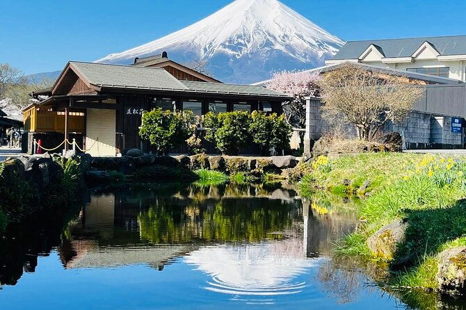 private-sightseeing-to-mt-fuji-and-hakone-with-english-driver