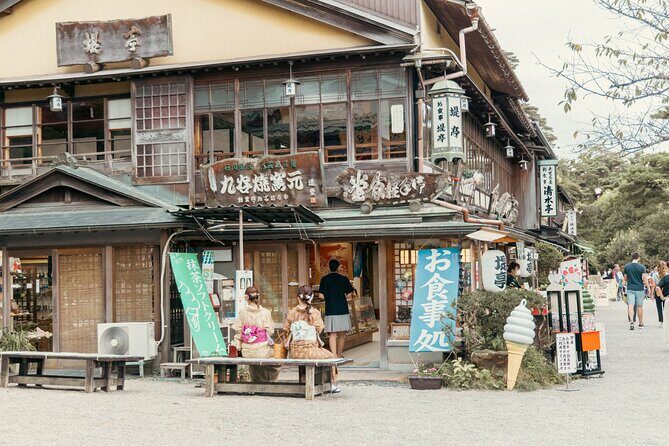 Private Sightseeing Tour from Kanazawa Port / Private Vehicle - Who Is This Tour Best For?