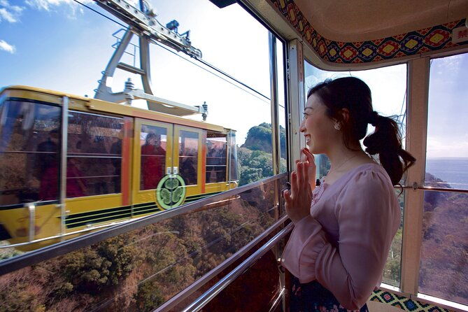 private-sightseeing-tour-from-shimizu-port-sedan-taxi
