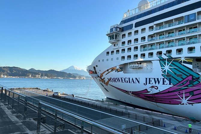 private-sightseeing-tour-from-shimizu-port-sedan-taxi