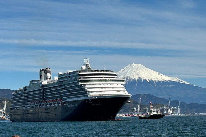 private-sightseeing-tour-from-shimizu-port-sedan-taxi