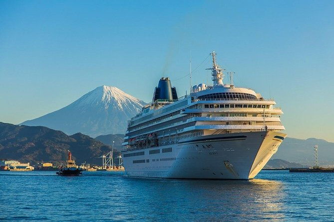private-sightseeing-tour-from-shimizu-port-van-taxi