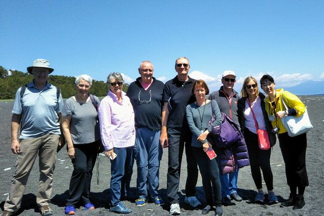 private-sightseeing-tour-from-shimizu-port-van-taxi