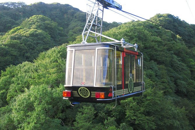 private-sightseeing-tour-from-shimizu-port-van-taxi