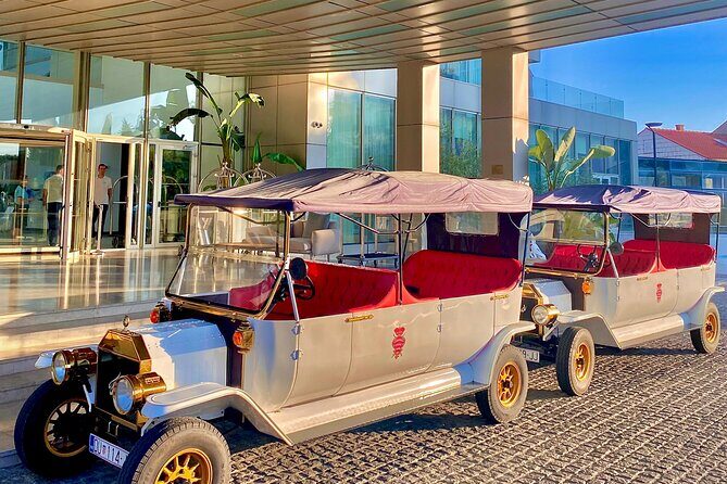 Private Sightseeing Tour in Dubrovnik with a Classic Old Car - Discover Dubrovnik in a Classic Electric Car with a Private Tour
