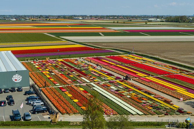 private-sightseeing-tour-to-keukenhof-gardens-and-the-windmills-from-amsterdam