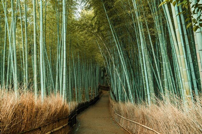 private-sightseeing-tour-visit-in-kyoto-with-transfer-included