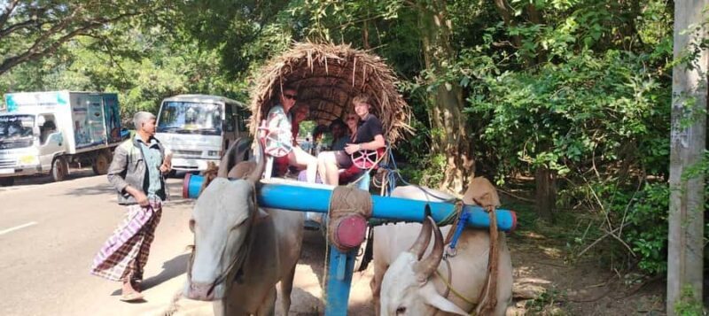 Private Sigiriya Day Tour from Kandy: Temples & Elephants - Transportation & Group Size: Comfort and Flexibility