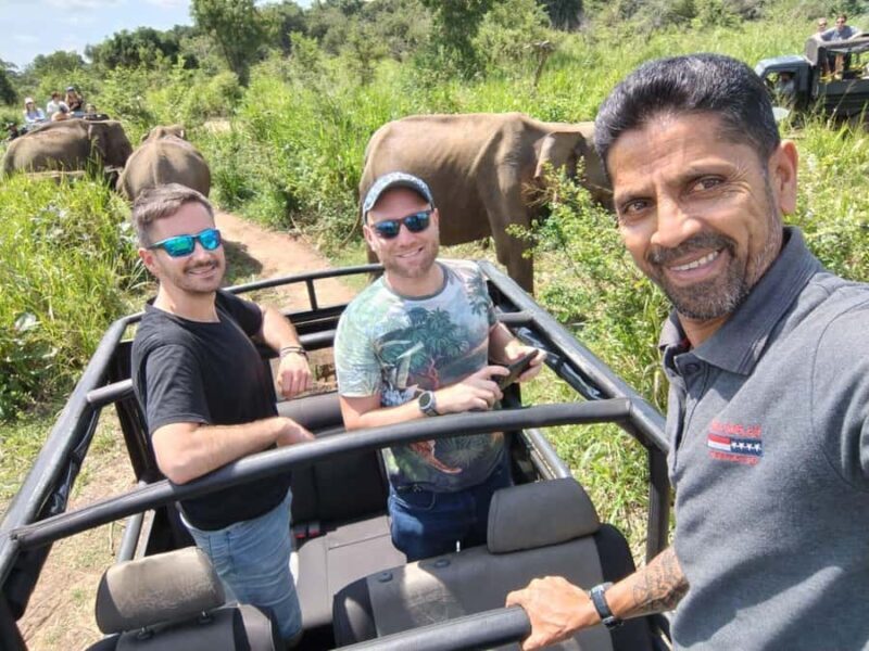 Private Sigiriya Day Tour from Kandy: Temples & Elephants - Pricing and Value