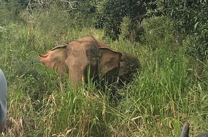 Private Sigiriya Tour from Kandy to Dambulla & back to Kandy - The Sum Up: Who Will Love This Tour?