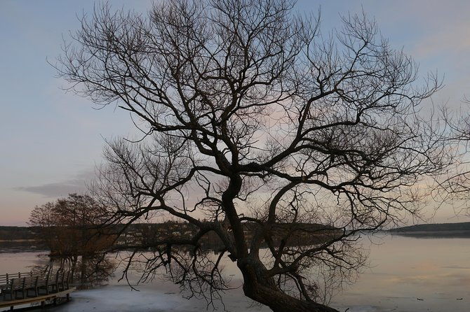 private-sigtuna-tour-from-stockholm-oldest-town-of-sweden