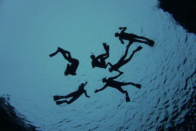private-silfra-freedive-tour