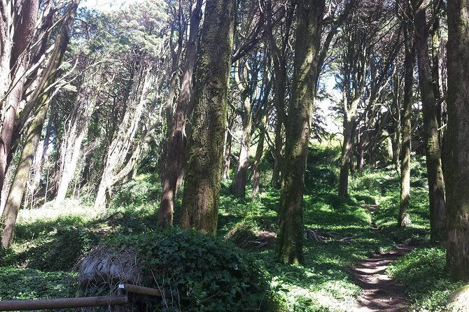 private-sintra-day-trip-from-lisbon-with-wine-tasting-and-monserrate-palace