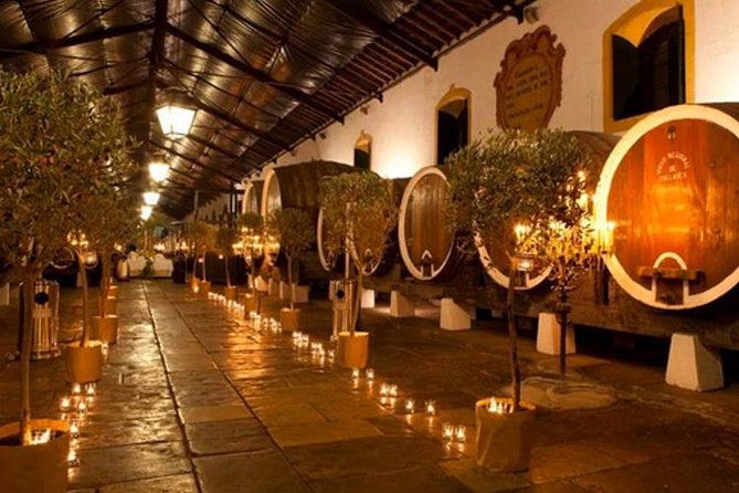 private-sintra-tour-from-lisbon-with-cellar-visit-and-wine-tasting-2