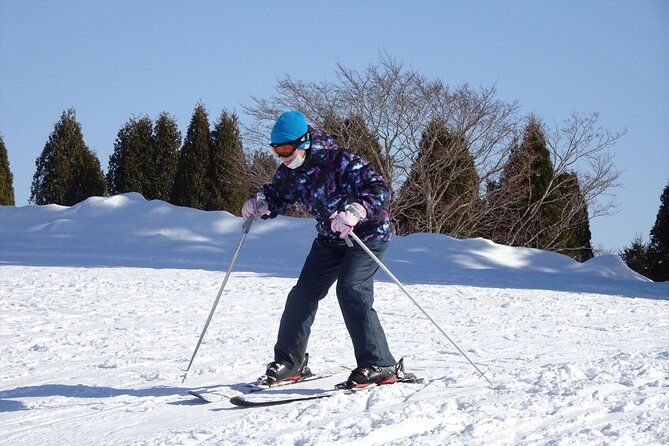 private-ski-lesson-for-beginners-in-chitose