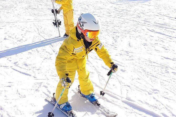 Private Ski Tour to Jisan, Vivaldy or Elysian Ski Resort - An In-Depth Look at the Experience