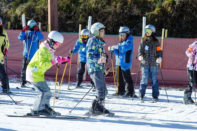 Private Ski Tour to Jisan, Vivaldy or Elysian Ski Resort - Final Thoughts