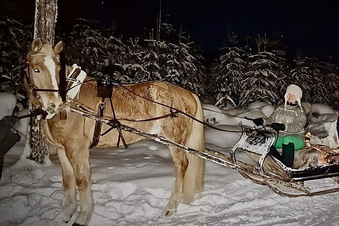 private-sleigh-ride-with-finnhorse