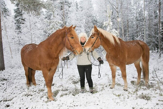 private-sleigh-ride-with-finnhorse
