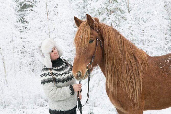 private-sleigh-ride-with-finnhorse