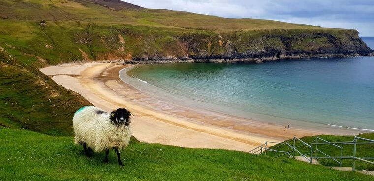 private-slieve-league-donegal-day-tour