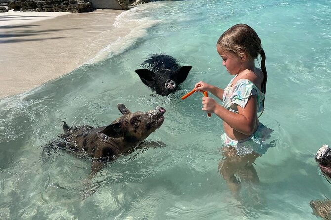 private-small-group-excursion